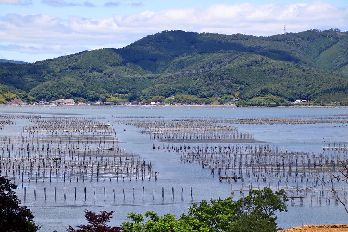 🌊宮城・石巻｜ホヤ・牡蠣養殖【あつみ屋】
出荷まで4年かけて育てるホヤ。本気で向き合える人を募集。朝4時〜昼過ぎ終了、通年雇用・寮あり。楽ではないが、将来独立も視野に入れたい方へ。
☞ job.fishermanjapan.com/job/4973/