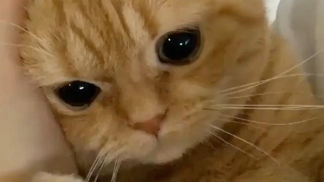 Sena | mt after dm tweet media