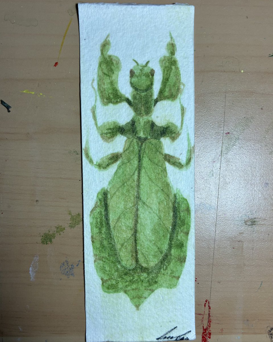 LouLous_Art's tweet image. Three artworks for this week to catch up, what MIA for a bit

Painted these bookmarks with watercolour

6,7,8/52 artworks

#watercolour #bookmark #art