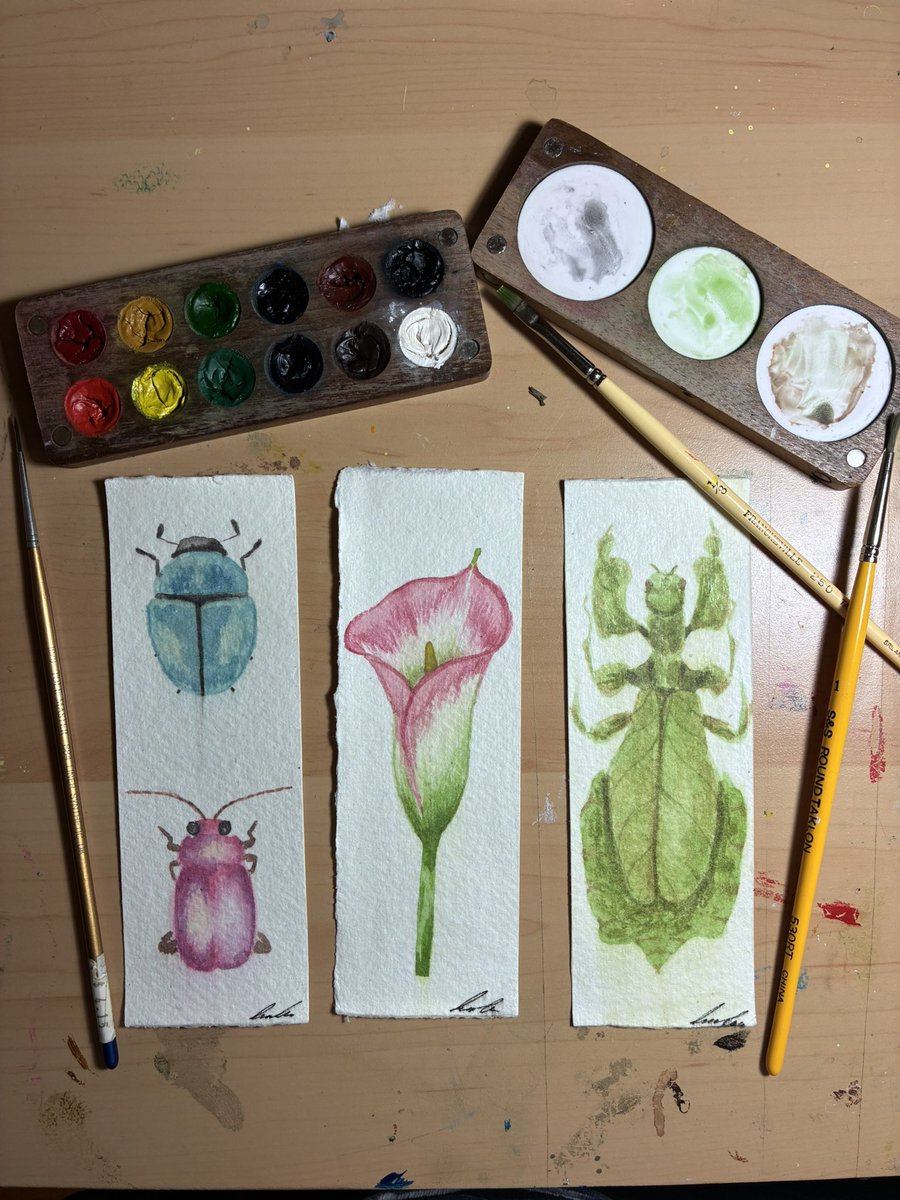 LouLous_Art's tweet image. Three artworks for this week to catch up, what MIA for a bit

Painted these bookmarks with watercolour

6,7,8/52 artworks

#watercolour #bookmark #art