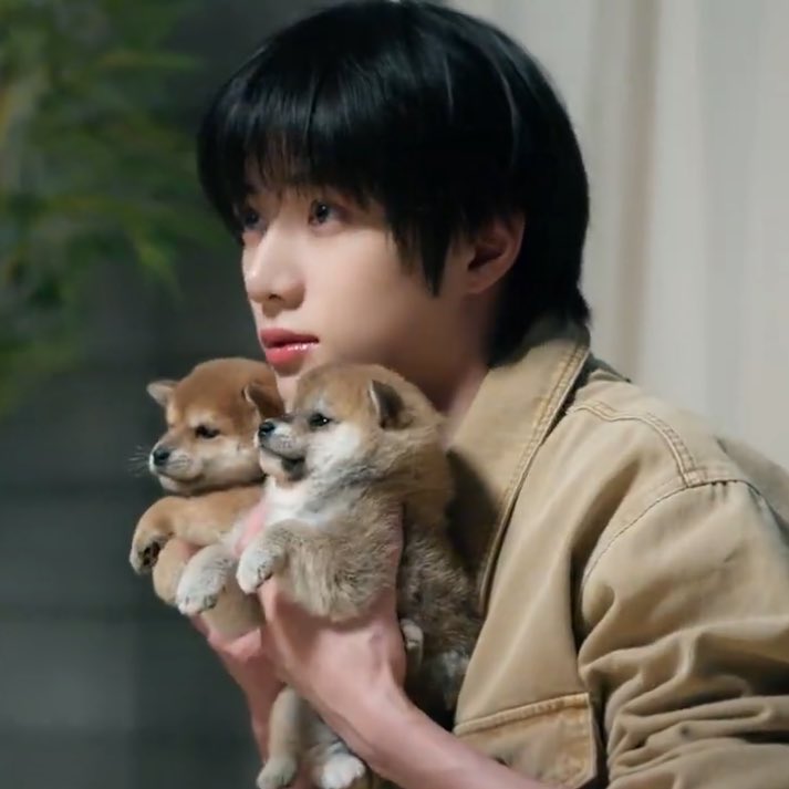 tyuntori's tweet photo. count how many puppies there are 🐶 https://t.co/5WoVqp2yMg