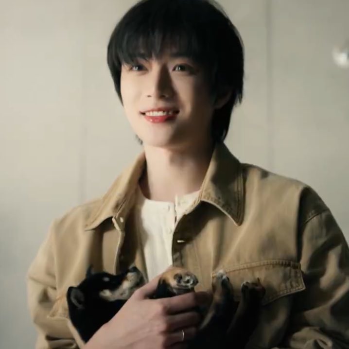 tyuntori's tweet photo. count how many puppies there are 🐶 https://t.co/5WoVqp2yMg