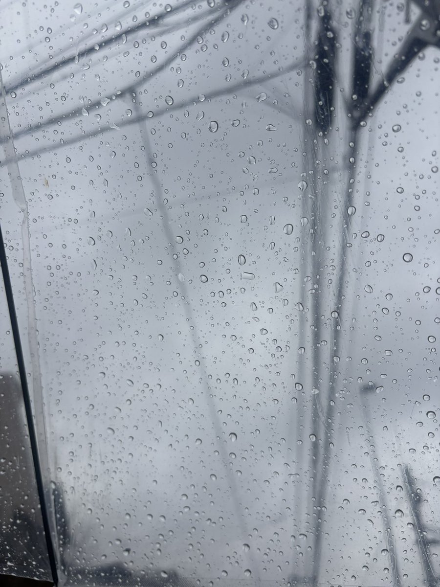 カフェに読書しに来た 雨の日っていいね〜☔️