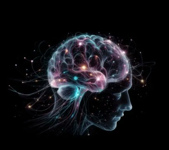 Palencia Invierte tweet media