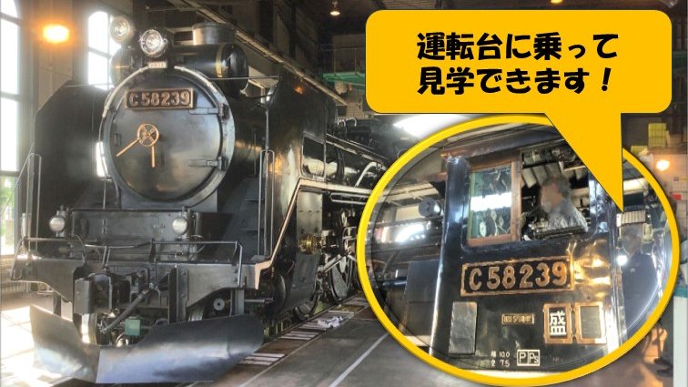 JRE_MALL's tweet photo. ＼C58 239見学イベント開催！／
直近開催イベントのお客さまレビューが高評価！
開催日：3月20日(金・祝)、3月28日(土)
蒸気機関車【C58 239】を間近で見学でき、整備士からSLの解説を聞くことができます！ご参加をお待ちしております！
▼申し込み(JRE MALLチケット)はこちら
https://t.co/wYBnlzFfzy https://t.co/kEB2obePE6
