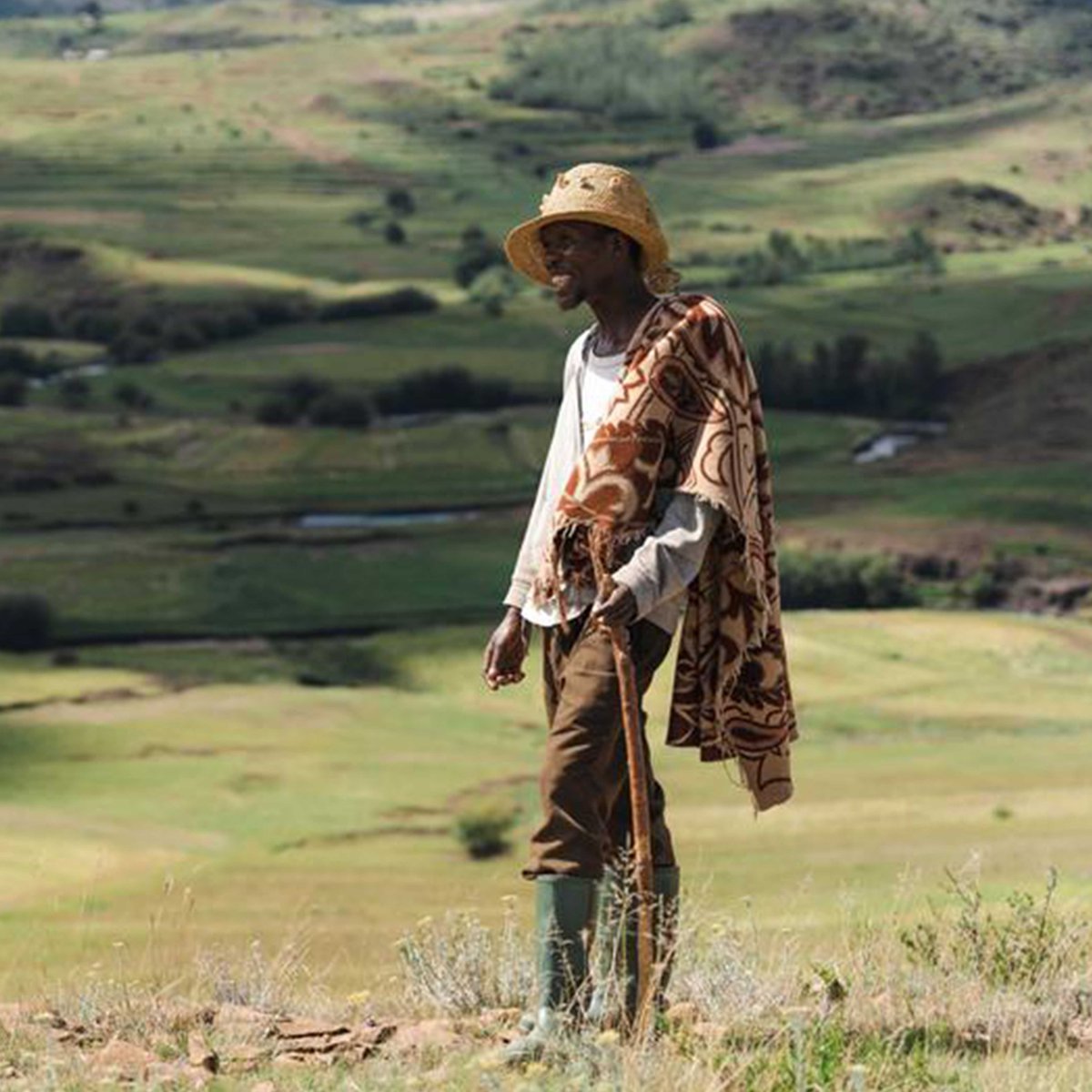 Avani Maseru tweet media