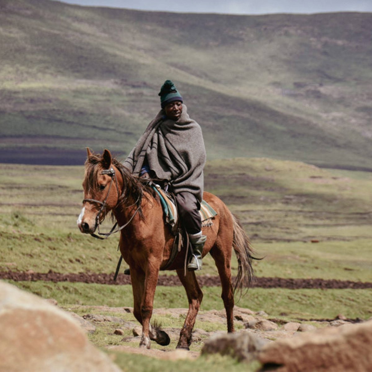 Avani Maseru tweet media