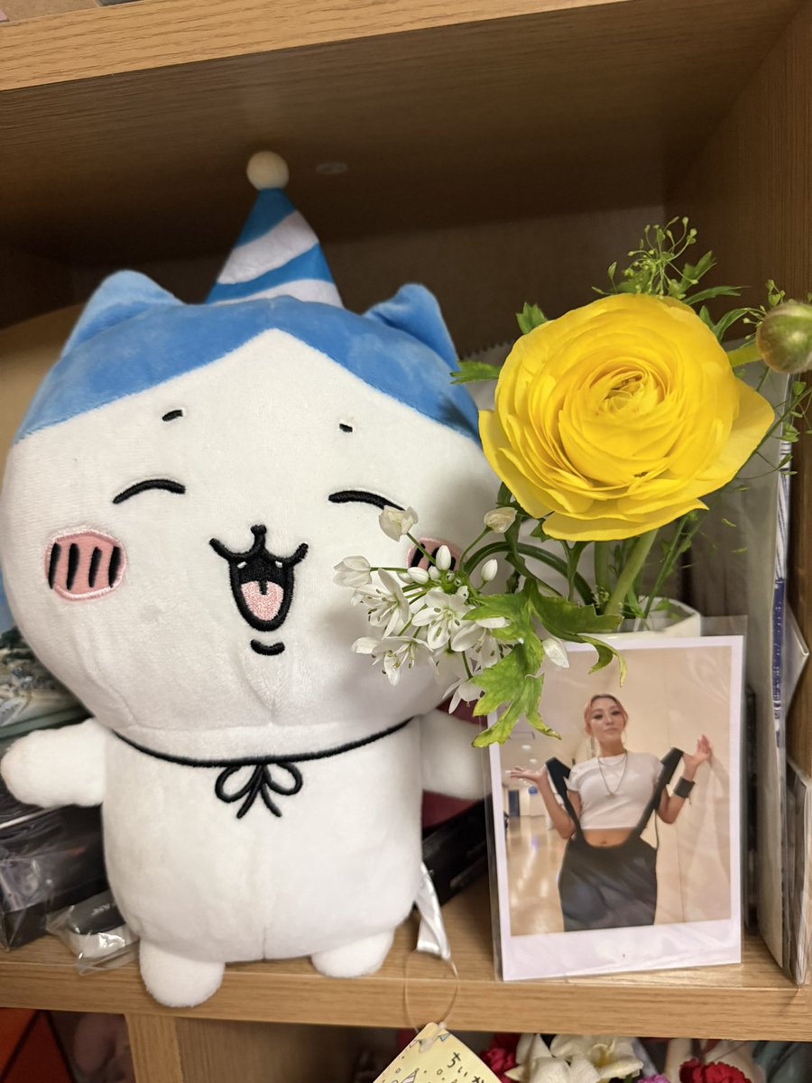 kumi_629's tweet photo. 倖田來未フラワーギフト💐
毎月２回📮くうちゃんの薫りを貴方の部屋に飾りましょう🌸
サイン希望💖淡路島のようちゃん
購入番号：38088f
購入商品：KODA KUMI flower gift for KODAGUMI
@KODAKUMINET 
#KKFG
#ハナメク
#倖田來未
#淡路島のようちゃん
#hanameku
#倖田來未フラワーギフト https://t.co/hjLU9unZf6