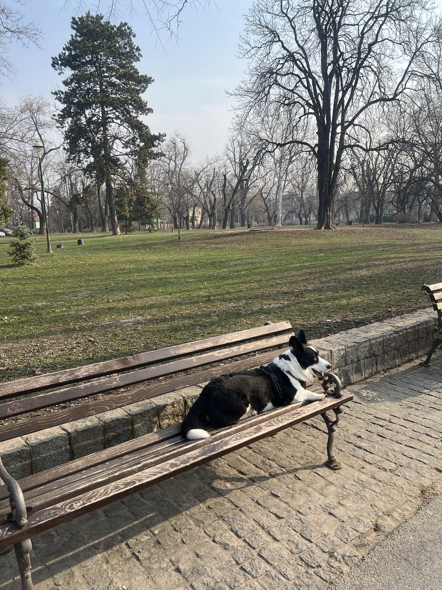 EisigHeiss's tweet photo. Ричи любит на лавочках сидеть https://t.co/k7PaKNUesa