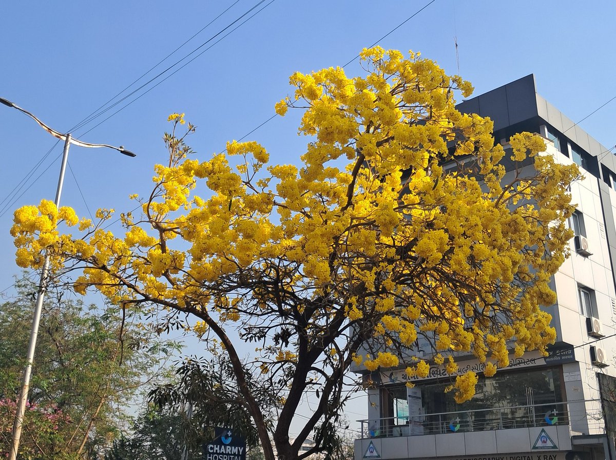 Mehul Devkala tweet media