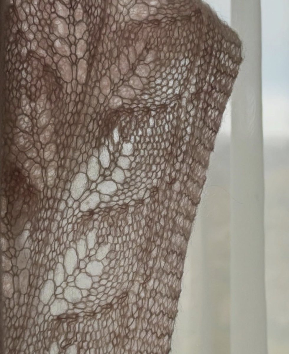 인프로그레스 tweet media