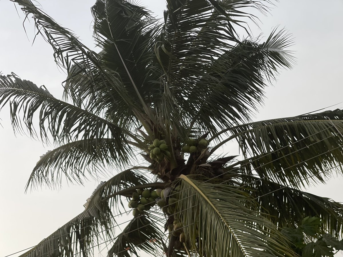 NGL
My next relationship we're having a monthly sit down. just sit and discuss us..how things are going, 
what we can do to develop our relationship more. 
you'll be surprised at what just a lil communication can do for any relationship

Good morning y’all 
Have a lovely day