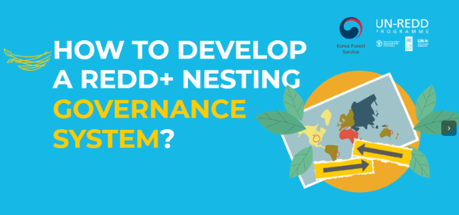 UN-REDD Programme tweet media