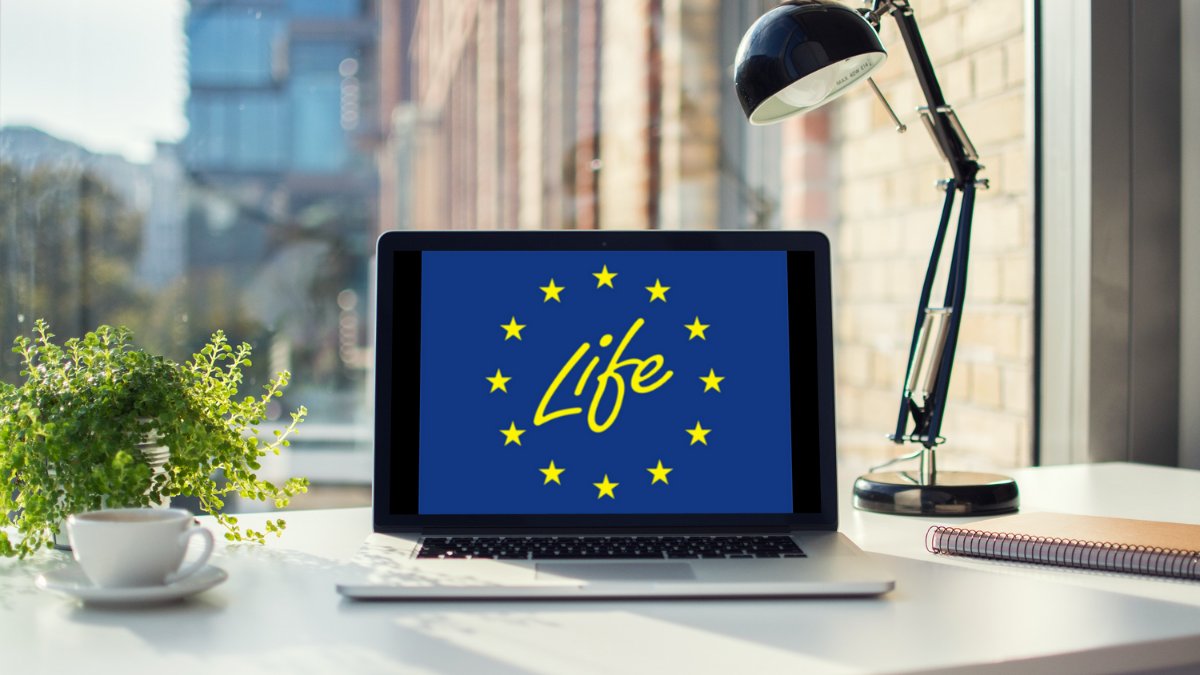 CAPLIFELAT's tweet photo. 📋 Aicinām aizpildīt aptauju par LIFE programmas nākotni! 

Eiropas Savienības Eiropas Reģionu komiteja izstrādā pētījumu “Beyond LIFE. Financing climate, energy and environmental priorities in the new EU Multiannual Financial Framework (MFF)”. https://t.co/1q2f033yG4