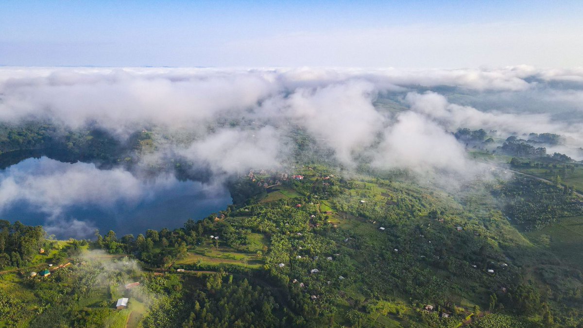 Kwikiriza Jed 🇺🇬🇷🇼🇰🇪🇹🇿🌴 tweet media