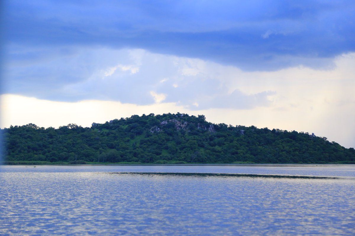 Kwikiriza Jed 🇺🇬🇷🇼🇰🇪🇹🇿🌴 tweet media