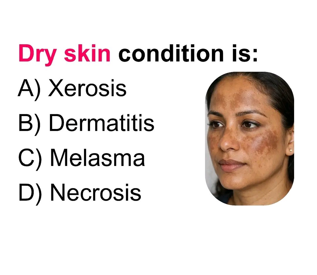 General Knowledge tweet media