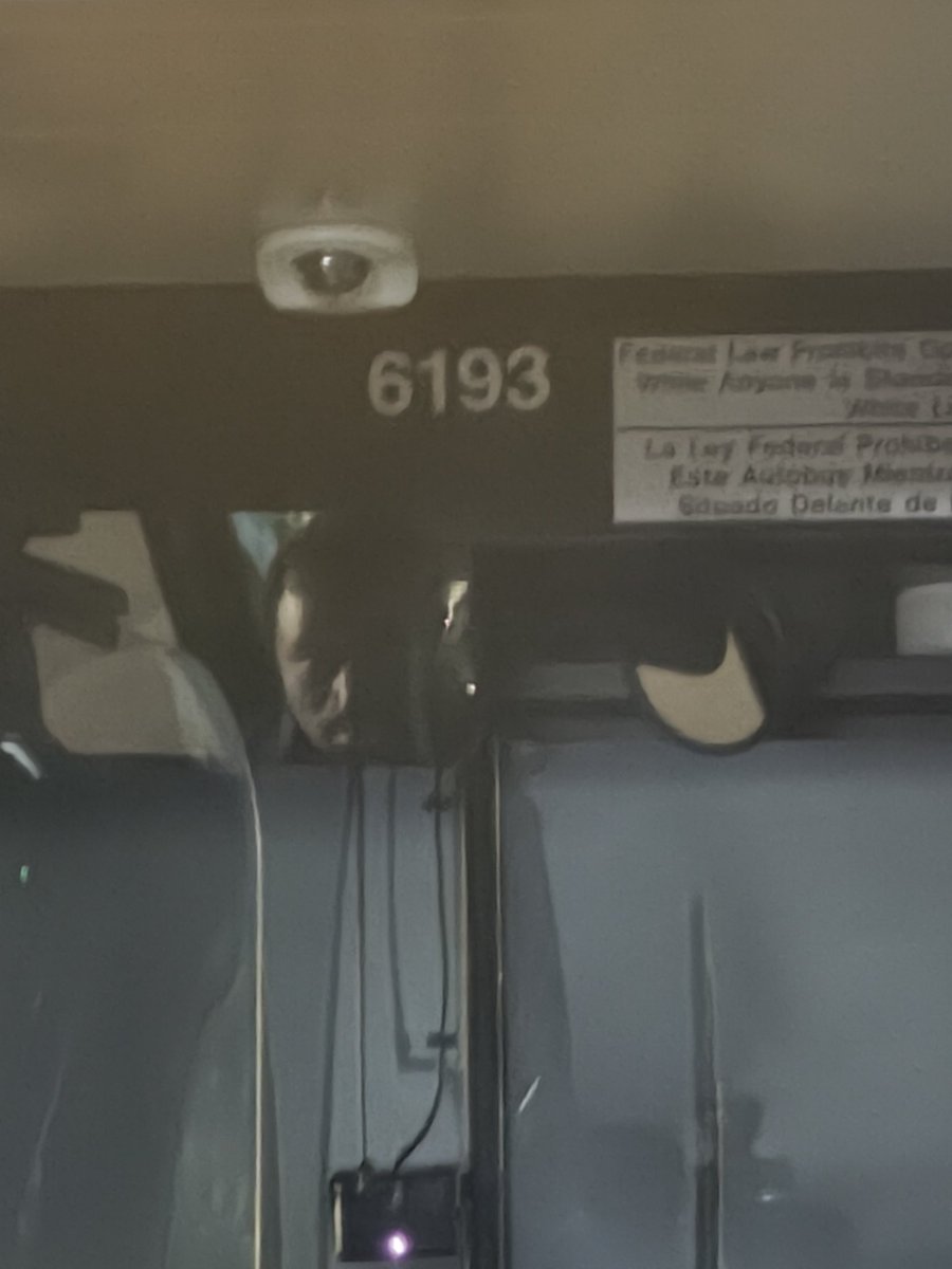 Castró Capone tweet media