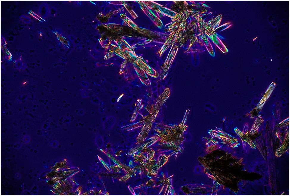 Sociedad Española de Medicina de Laboratorio tweet media