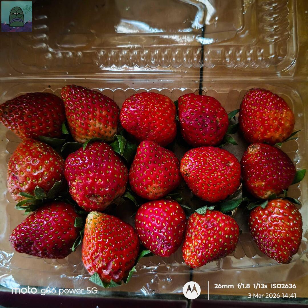 Tanyarl 💚 tweet media