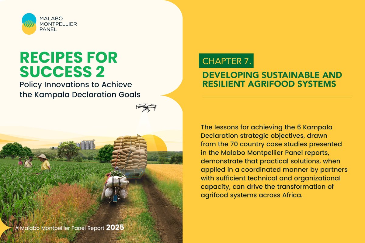 Malabo Montpellier Panel tweet media