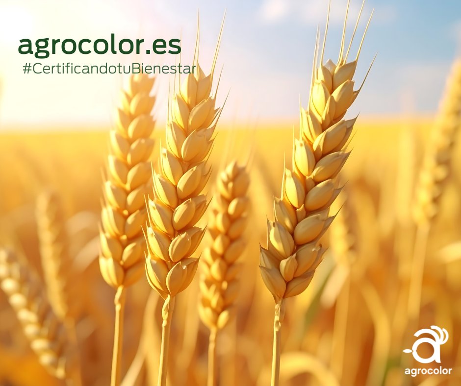AGROCOLOR tweet media