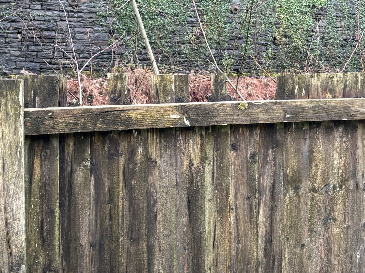 Alun Harries tweet media