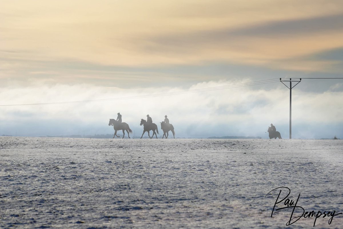 Paul Dempsey tweet media