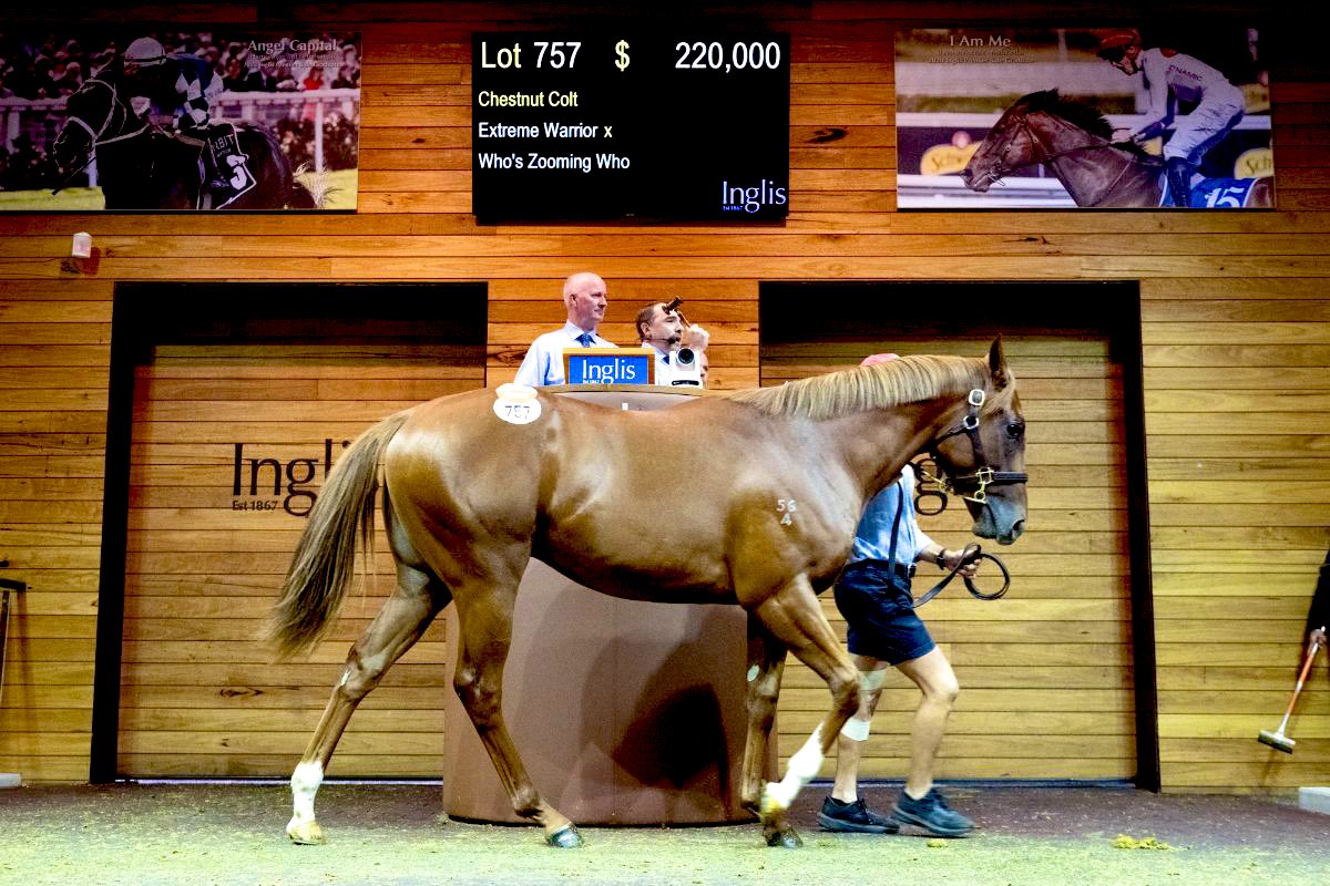 Kennewell Racing tweet media