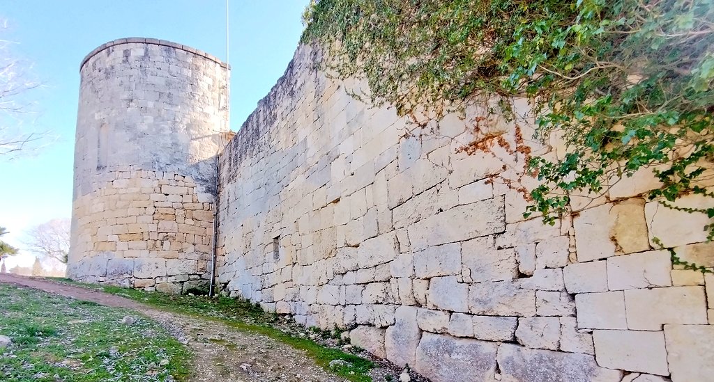 David Pujadó i Cercó tweet media