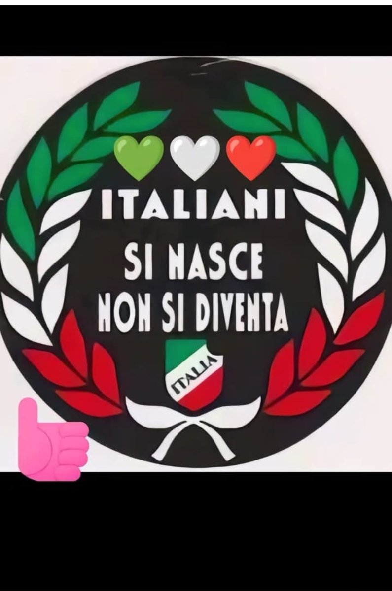 Alberto Castellari 🥋 🇮🇹 tweet media