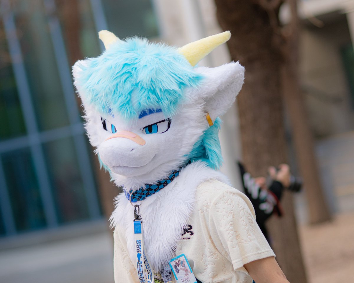 first name drago last name dragon tweet media