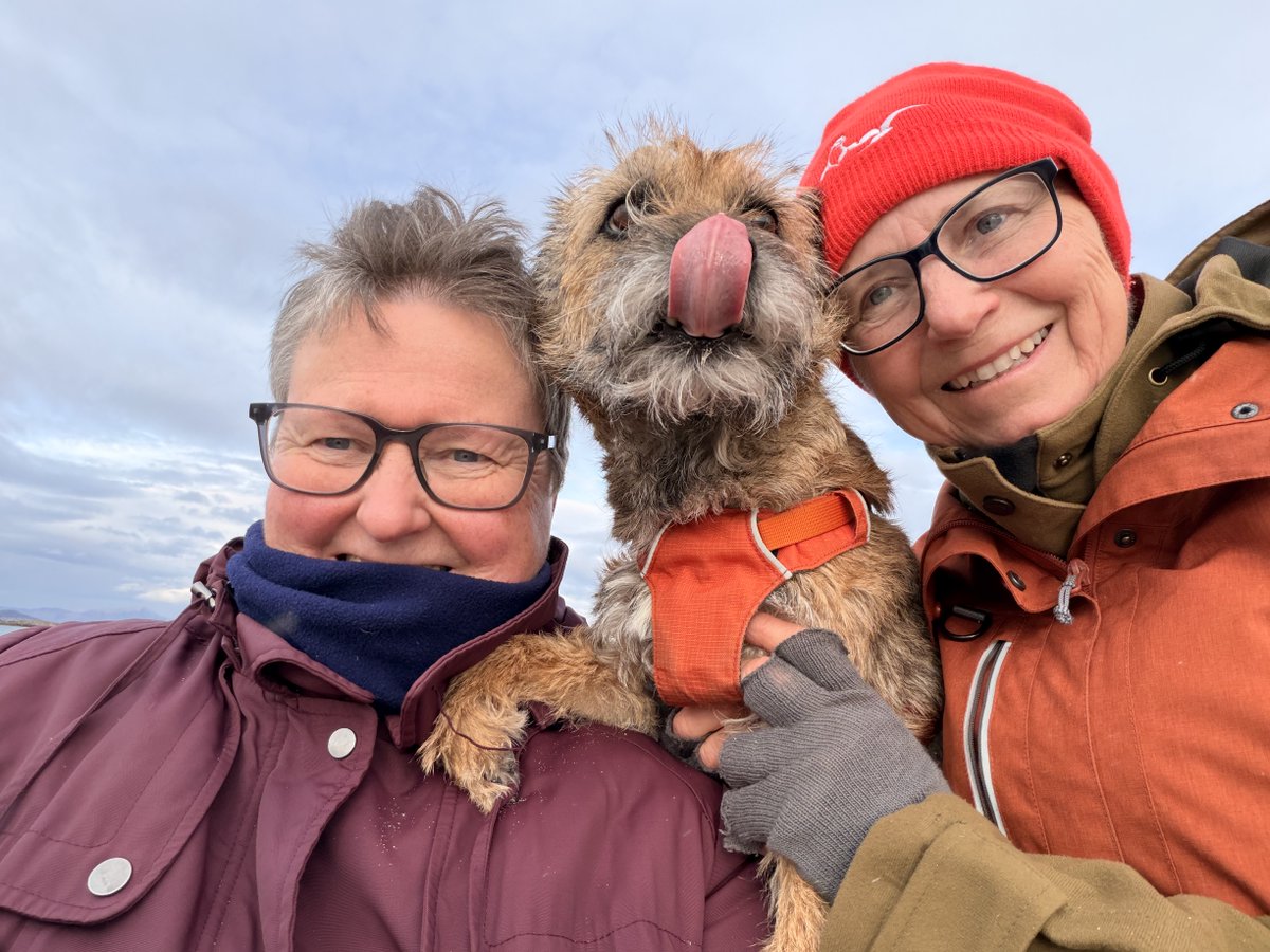 RayTheBorderOnMull 🐾 tweet media