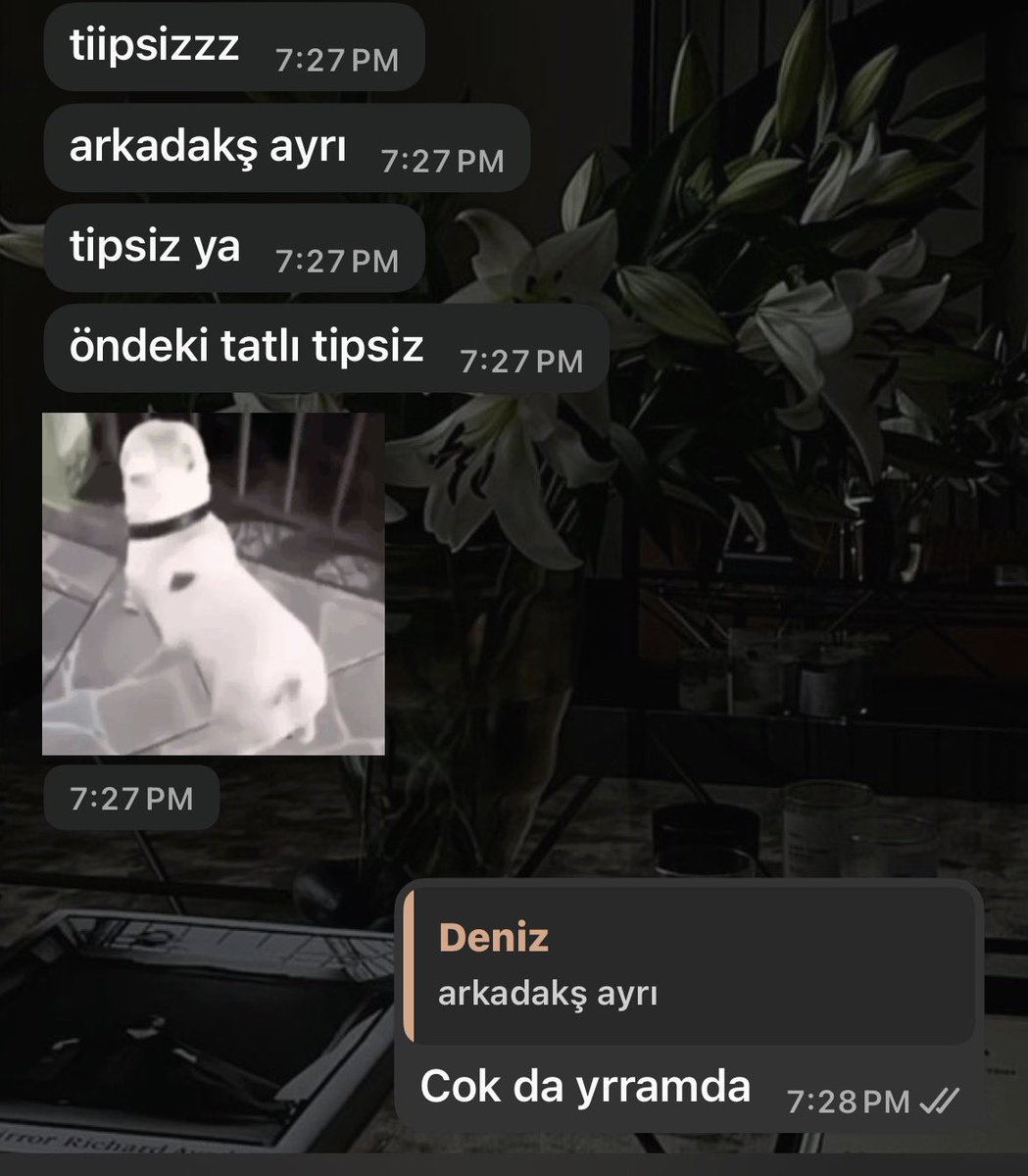 Natty | 🖤 tweet media