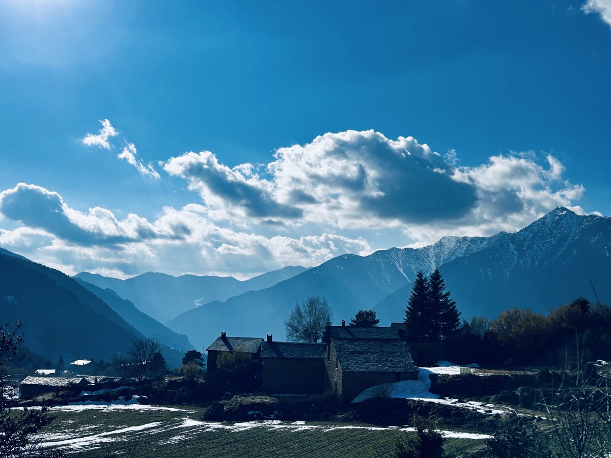 El hombre del norte tweet media