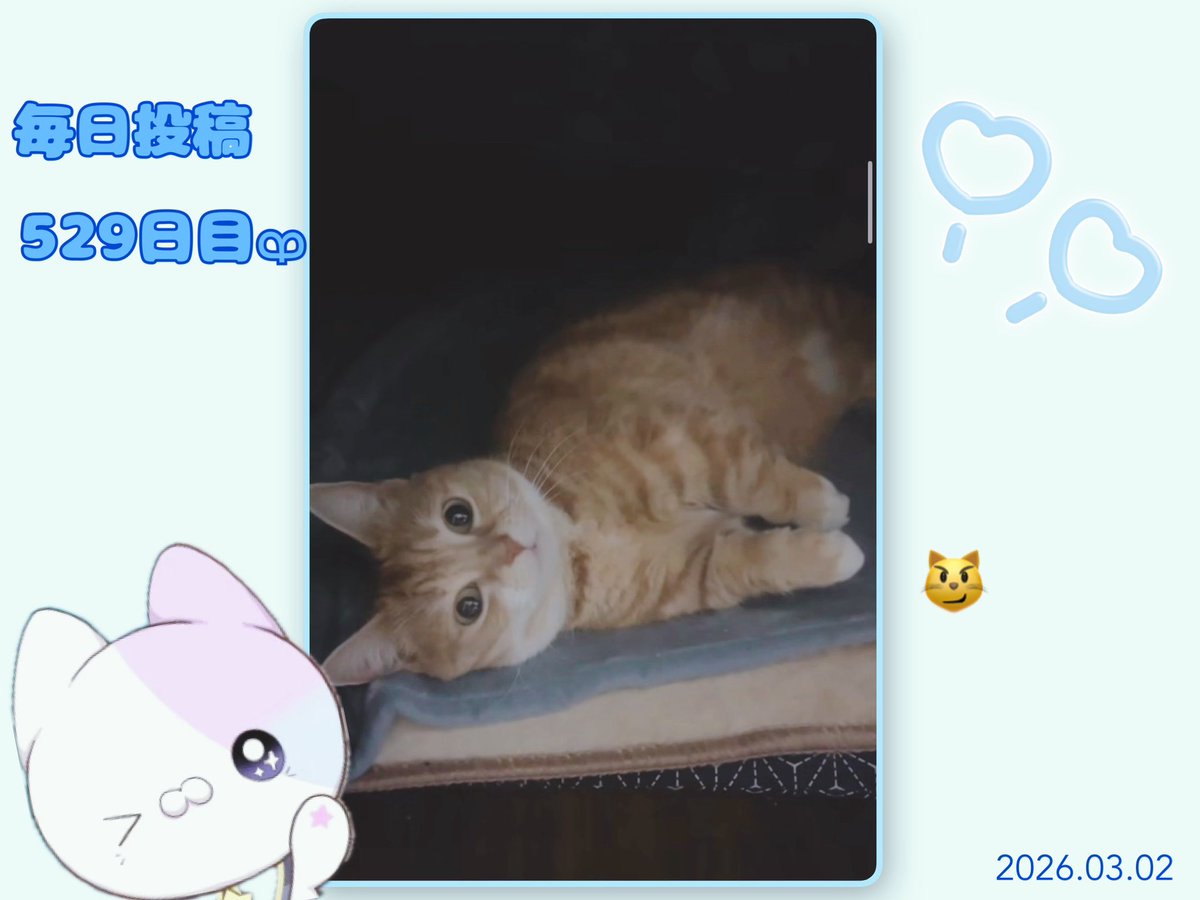 あやり。️🩵🌱ᩚ tweet media