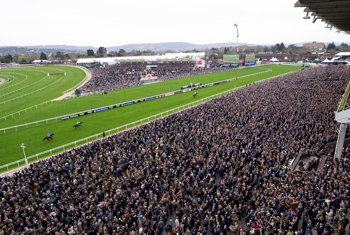 ONE WEEK UNTIL THE CHELTENHAM FESTIVAL 🙌