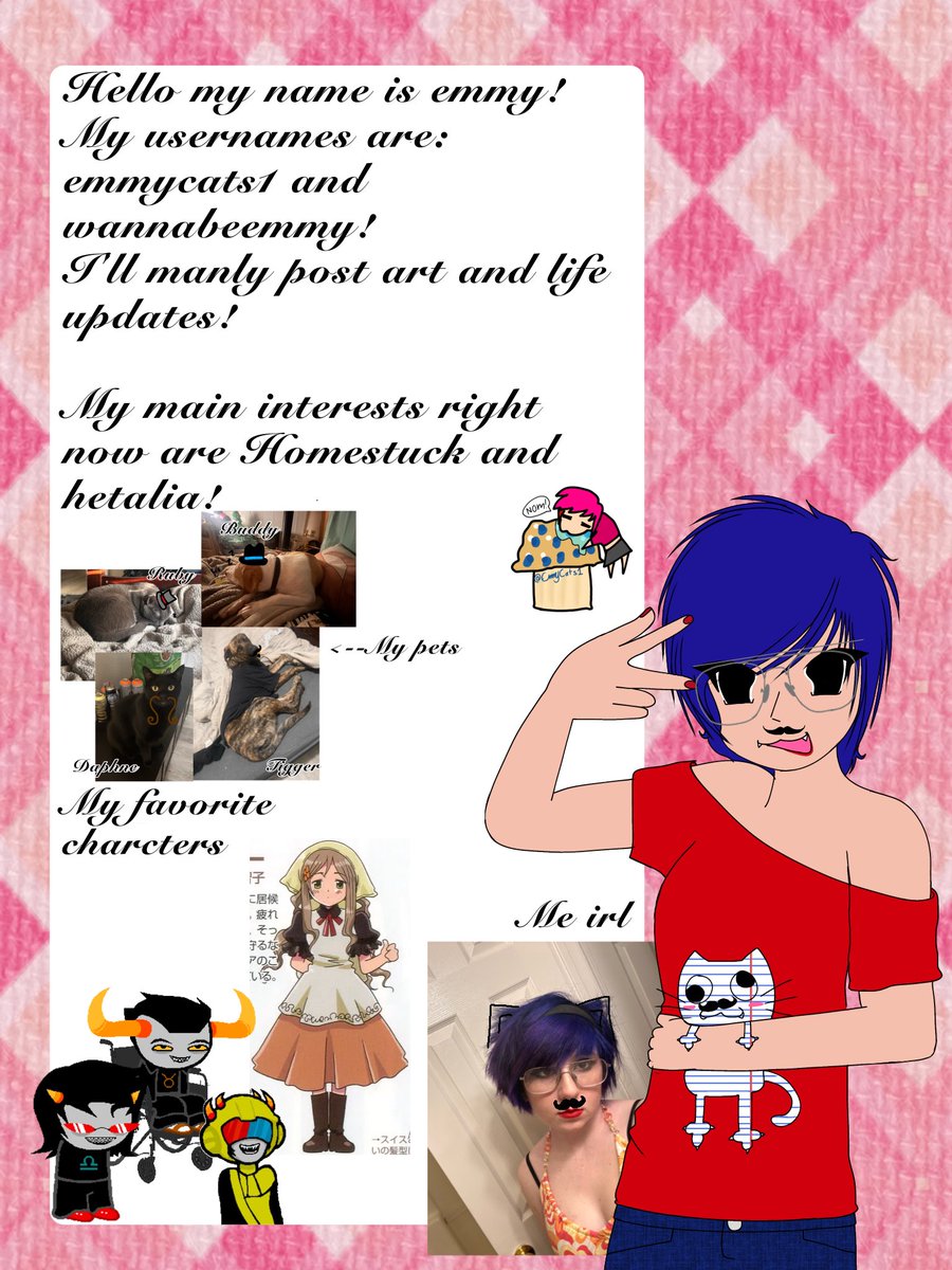 Emmycats1 tweet media