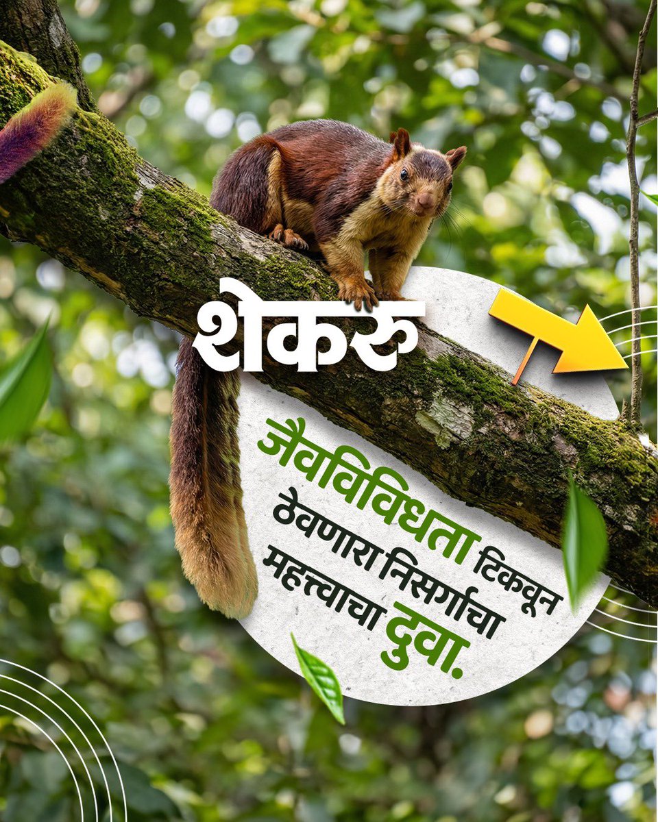 Maharashtra Pollution Control Board tweet media