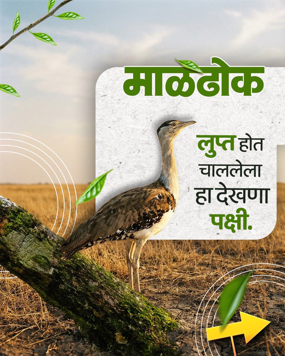 Maharashtra Pollution Control Board tweet media