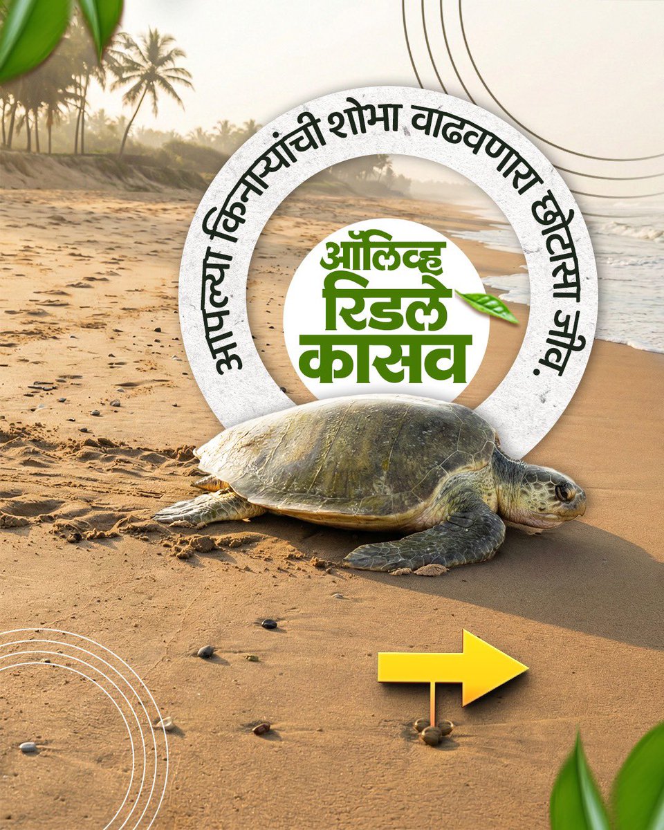 Maharashtra Pollution Control Board tweet media