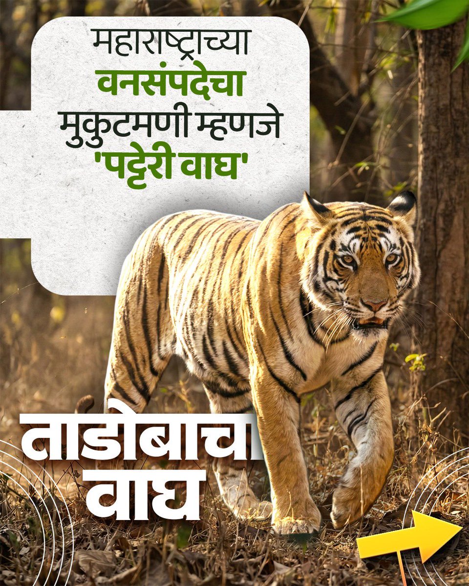 Maharashtra Pollution Control Board tweet media