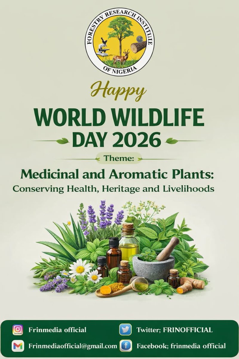 FRINMEDIA tweet media