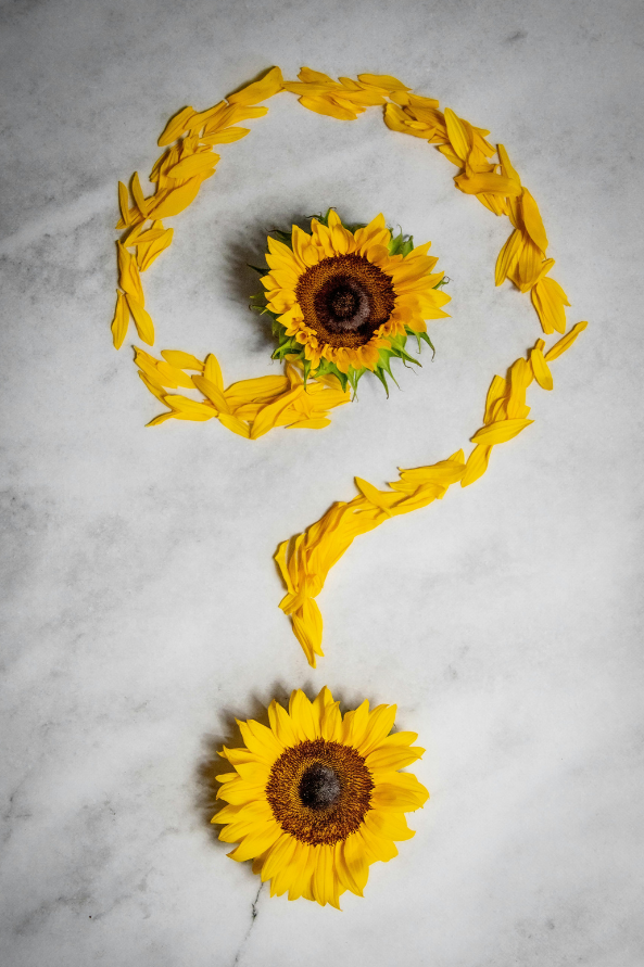 Safe Soil UK tweet media