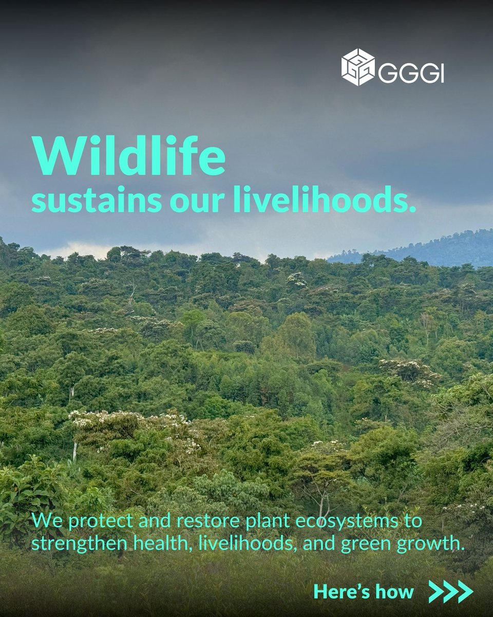 GGGI Ethiopia tweet media