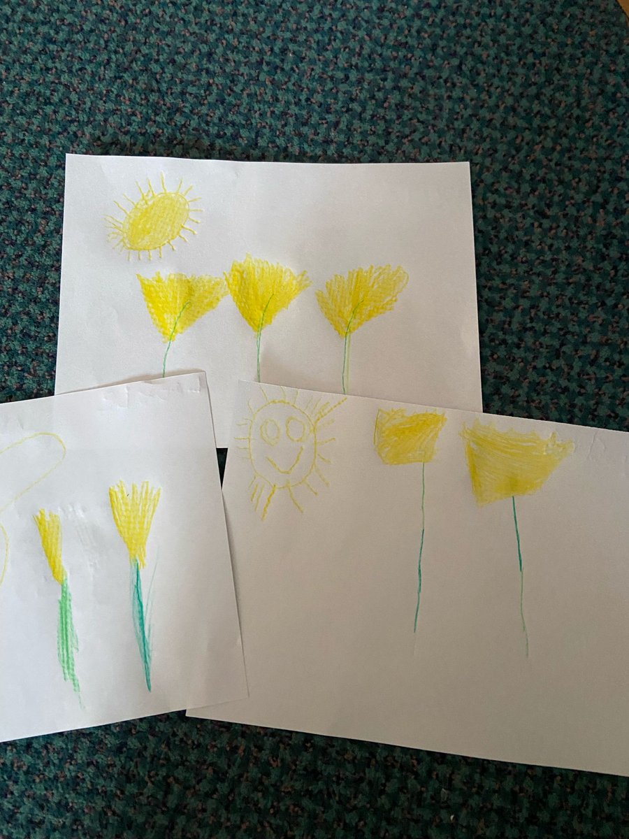 stjosephskly's tweet photo. Daffodil exploring in Hazel Class yesterday! Beautiful drawings. Hopefully more to be done. #SJKEYFS #SJKHazelClass https://t.co/fQL9gckTJ2