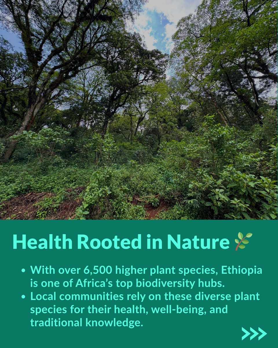 GGGI Ethiopia tweet media