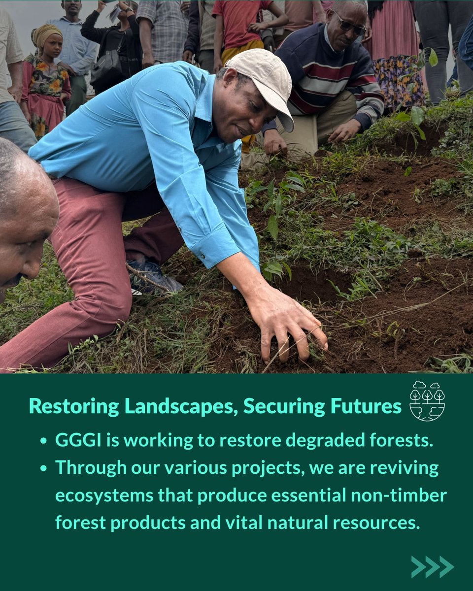 GGGI Ethiopia tweet media