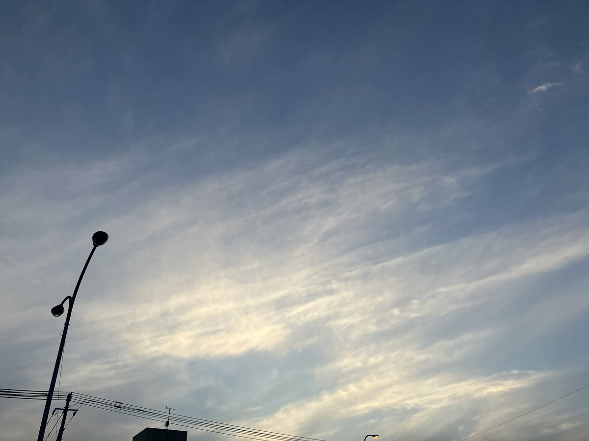 とばり (@buntateru) / Posts / X