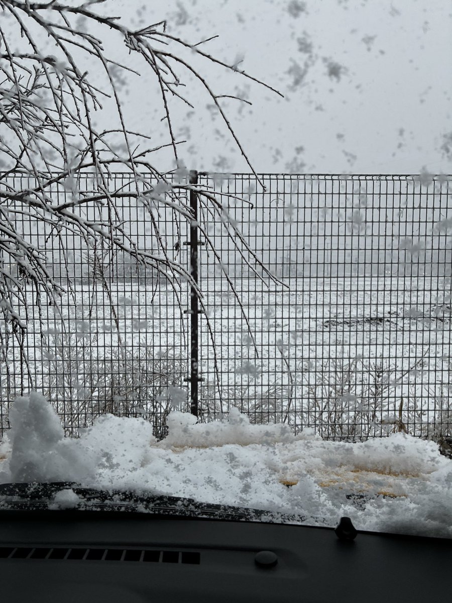 ode08511293's tweet photo. 今回のココスのウマ娘コラボアクスタ再販分まだあるのに雪の為行くのは諦めるしかないわ。
　明日まであるならその時はかな。 https://t.co/mTwRUqTFQU